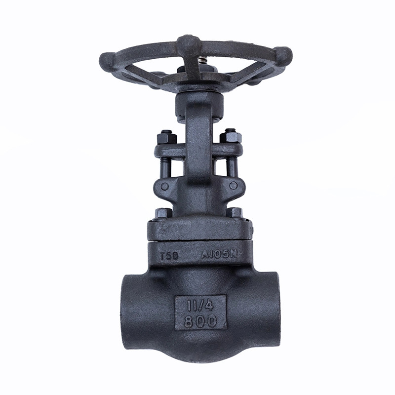 Geschmiedeter Schieber 800LBS